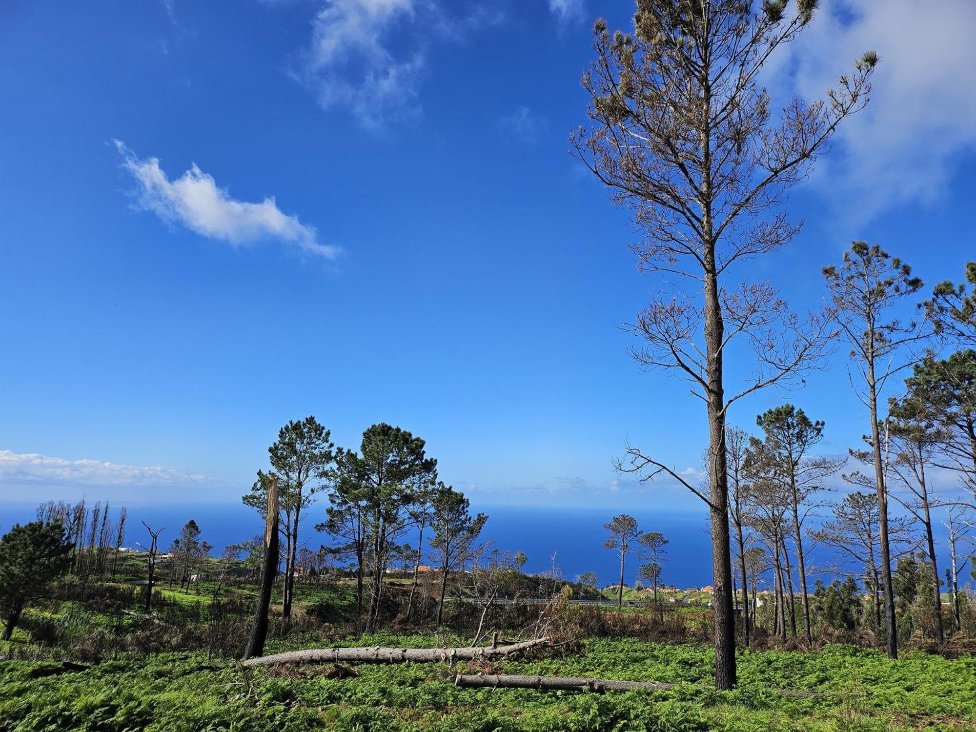 Maravilha Da Costa Villa Ponta do Pargo Bagian luar foto